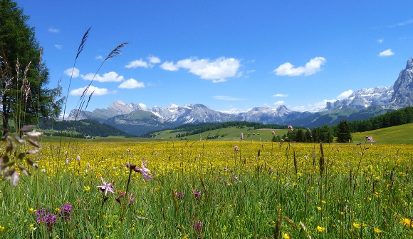 Wanderung über die Seiser Alm