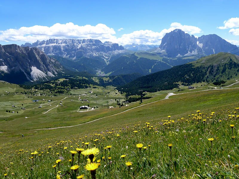 D-1293-seceda-blumenwiese-colraiser-pano