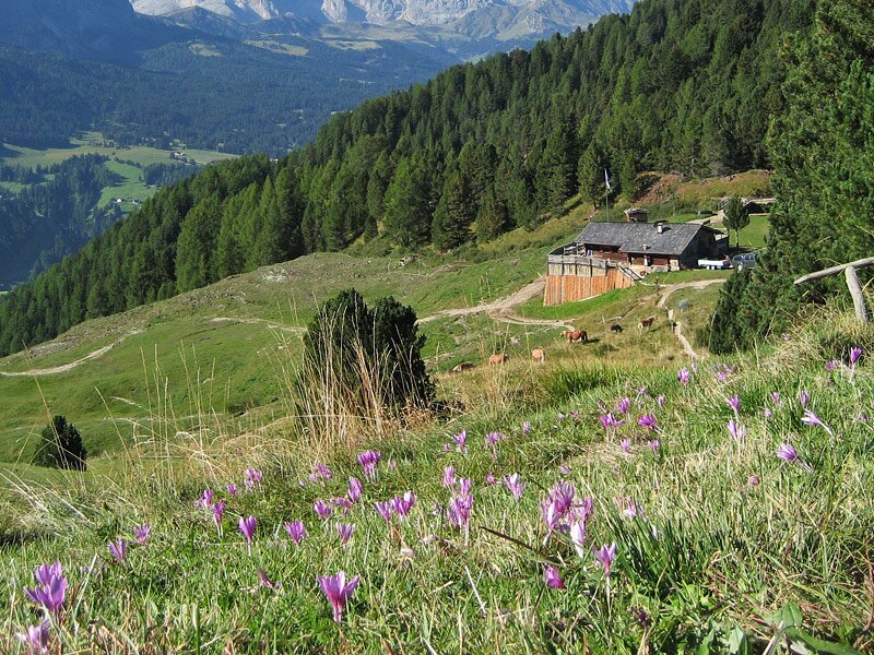 Santa Cristina Trentino Hotel Santa Cristina Trentino Hotel