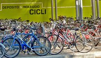 Mountainbike-Verleih