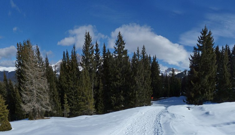 seiser alm seiseralm winter panorama saltria seiseralm winter