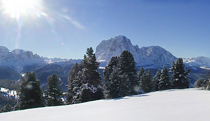Col Raiser in winter