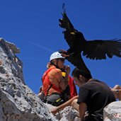 Groeden St Christina Col Raiser Sass Rigais Die Rabenkreisenumden Gipfelumdie Essensresteder Bergsteigerzuergattern