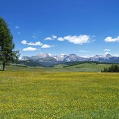 seiser alm wiese und geisler gruppe