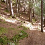 lajen poststeig waldabschnitt