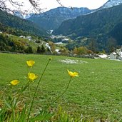 st peter lajen hof richtung pontives wiese herbst und winter