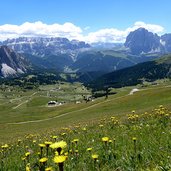 seceda blumenwiese colraiser panorama