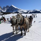 Skigebiet Seiser Alm Pferd Kutsche