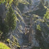 stevia aufstieg weg stufen