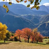 herbstwiesen bei lajen