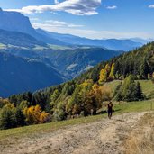 tratto di salita finale con vista sullo Sciliar