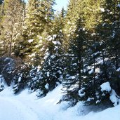 weg pufler schlucht pufels seiseralm schnee winter