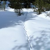 spuren im schnee winterlandschaft raschoetz wald