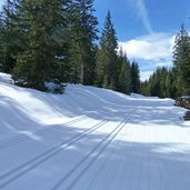 langlaufloipe bei monte pana winter