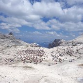 i suoni delle dolomiti rifugio boe sella fr