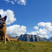 cane e monte stevia e gruppo sella