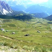 fermeda col raiser P ED