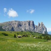 RS blumenwiese fruehling seiser alm und schlern almhuetten