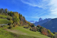 lajen poststeig troi da posta