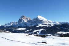 langkofel plattkofe seiser alm
