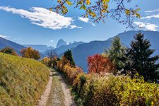 herbst blick richtung groeden mit sella langkofelgruppe