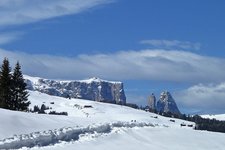 winterwanderung monte pana saltria