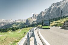 sellajoch bus idmmako