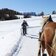 Skigebiet Seiser Alm Pferd Kutsche Schnee