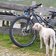 RS Alm Schaf Mountainbike