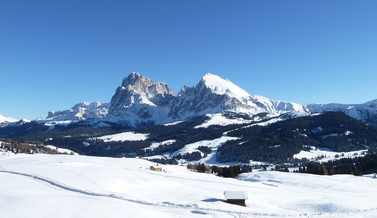 langkofel plattkofe seiser alm