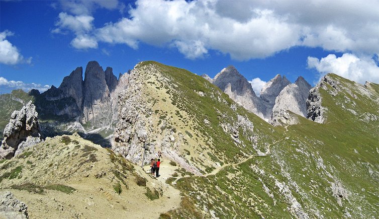 wanderung stevia