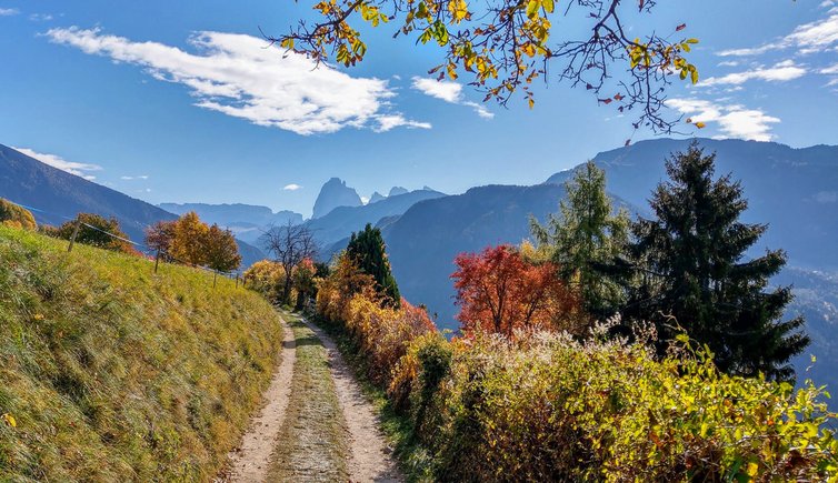 herbst blick richtung groeden mit sella langkofelgruppe