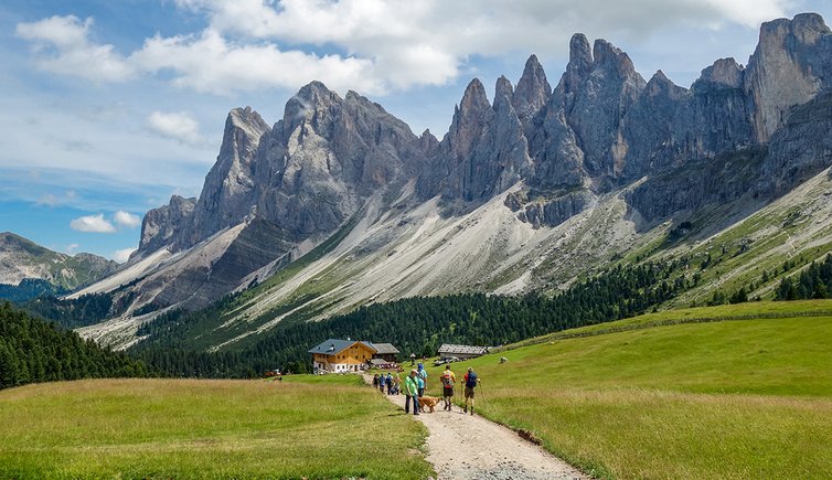val gardena malga brogles alm