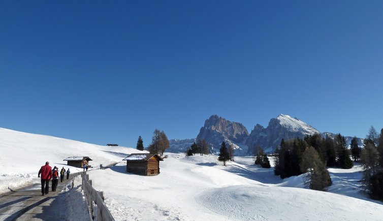 winterwanderung pufels seiser alm escursione invernale bulla alpe di siusi