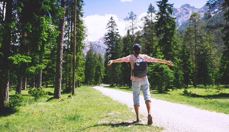 AS dolomiten berge wald wandern person