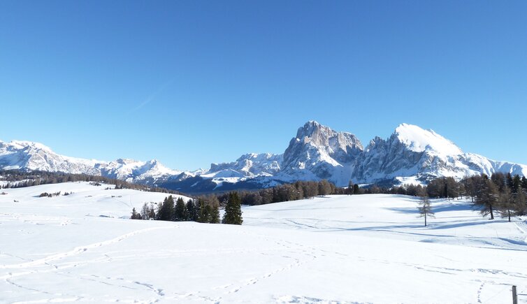 seiser alm winter langkofelgruppe mit plattkofel