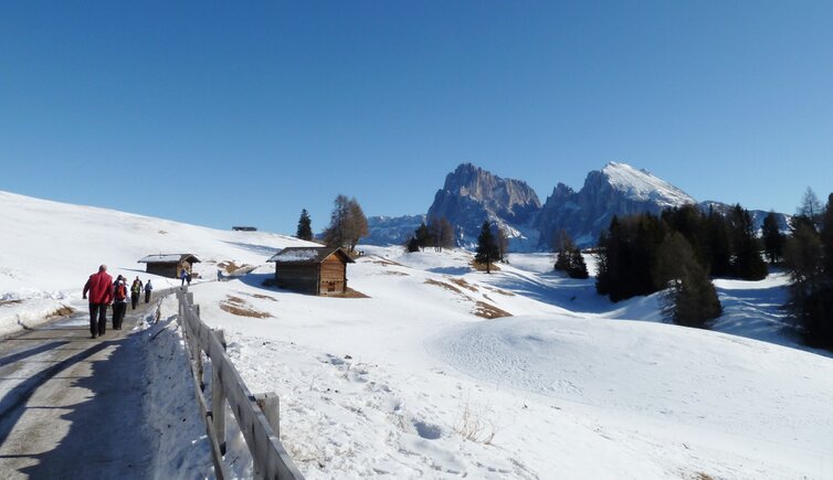 winterwandern ritsch schwaige