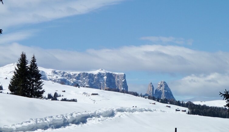seiser alm winter