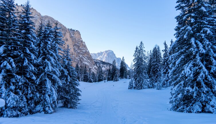 langental winter