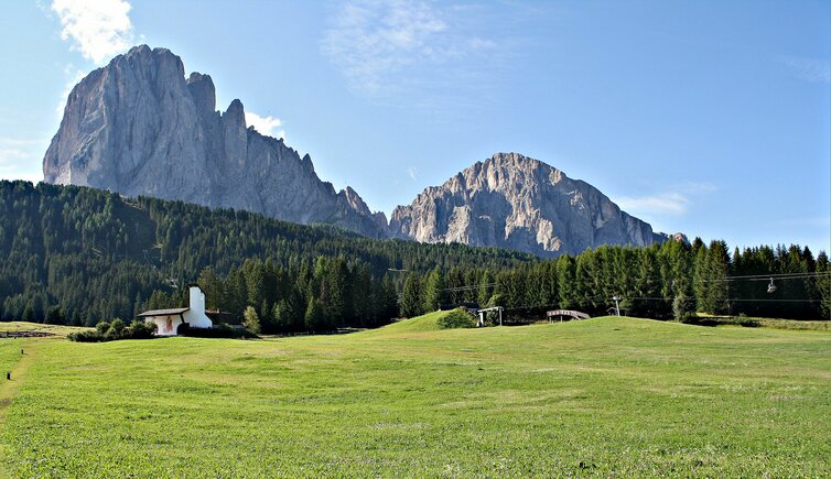 Monte Pana Langkofel Plattkofel Adobe Stock