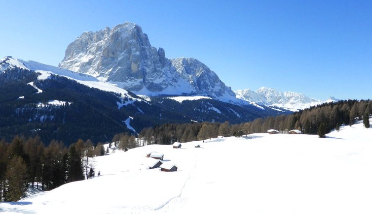 RS groeden winter landschaft bei daunei huetten und dahinter langkofel