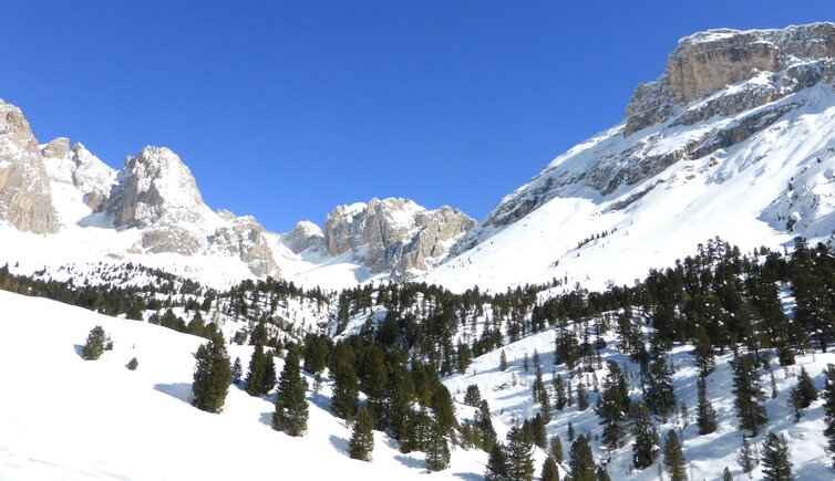 RS geisler und puez winter