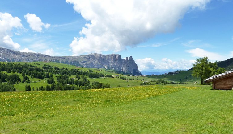 RS seiser alm aussicht schlern